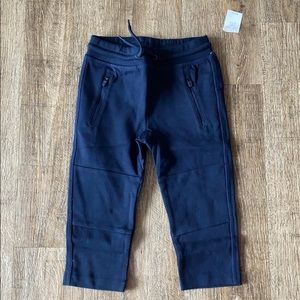 New Baby Gap joggers 2t